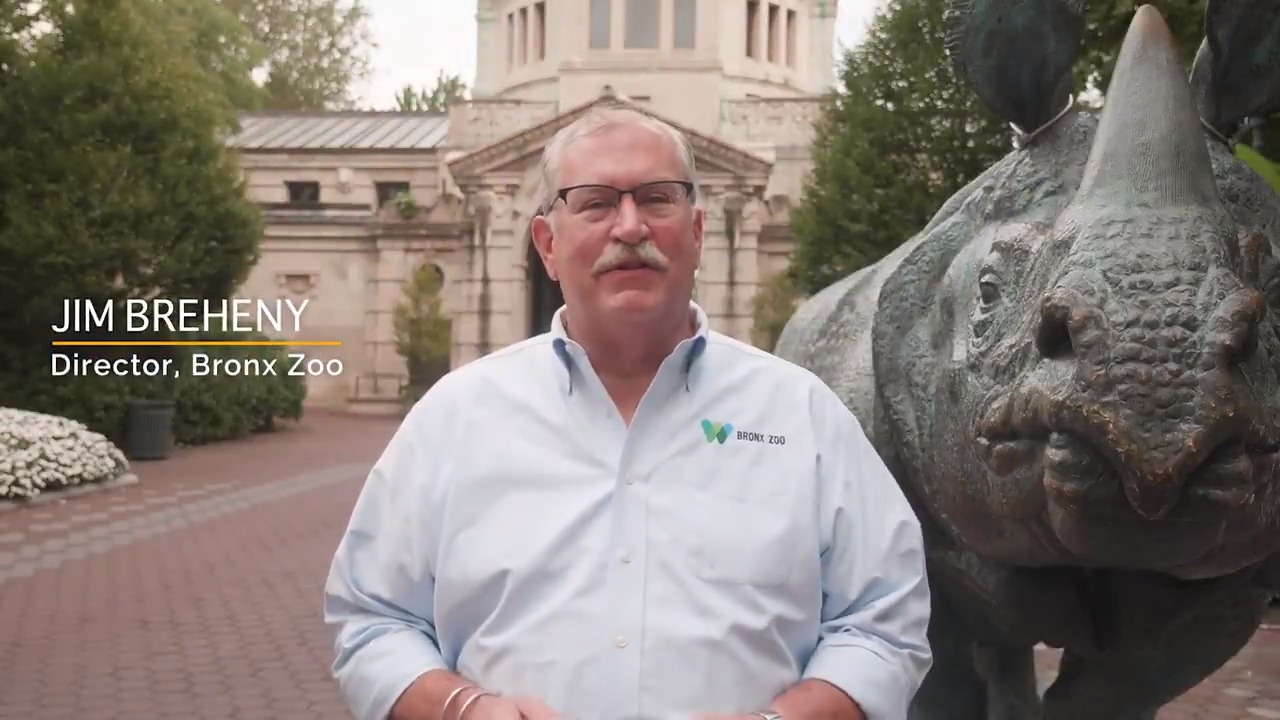 bronx-zoo-on-twitter-jim-breheny-director-of-the-bronx-zoo-has-exciting-news-to-share-the-fifth-season-of-animal-planet-s-the-zoo-premieres-on-saturday-oct-9-at-8pm-et-pt