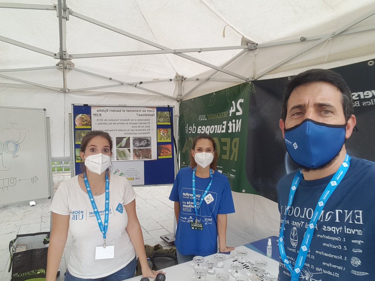 MAMirandaTweet's tweet photo. Qué suerte poder contar con este equipazo para el taller de #insectos de la #NitRecerca2021 Una actividad del proyecto @ento_e #bugsarecool https://t.co/yqDfc1Dl8Y