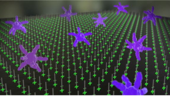 80% of infections are spread from a person touching contaminated surfaces. The most effective in protecting surfaces is a cleaning/disinfecting regimen enhanced with surface protection. This is where the #ISP Program comes in. Find our more about 👉hubs.ly/H0XqvrG0