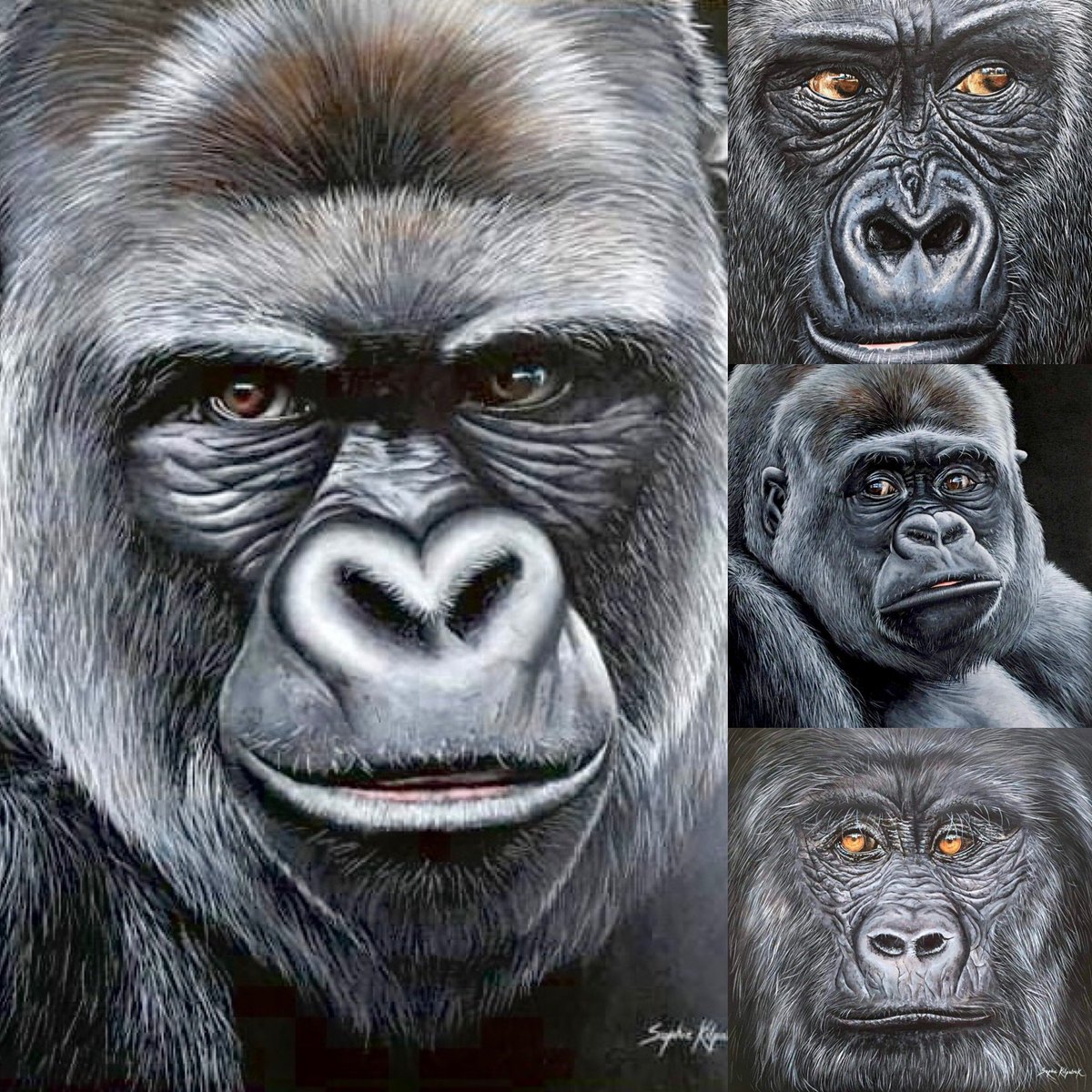It’s world gorilla day! 🦍

Here’s a selection of mine, I think I need to paint another one soon…

#worldgorilladay #gorilla #primates #gorilladay #originalpaintings #art #artgallery #wildlifeartist