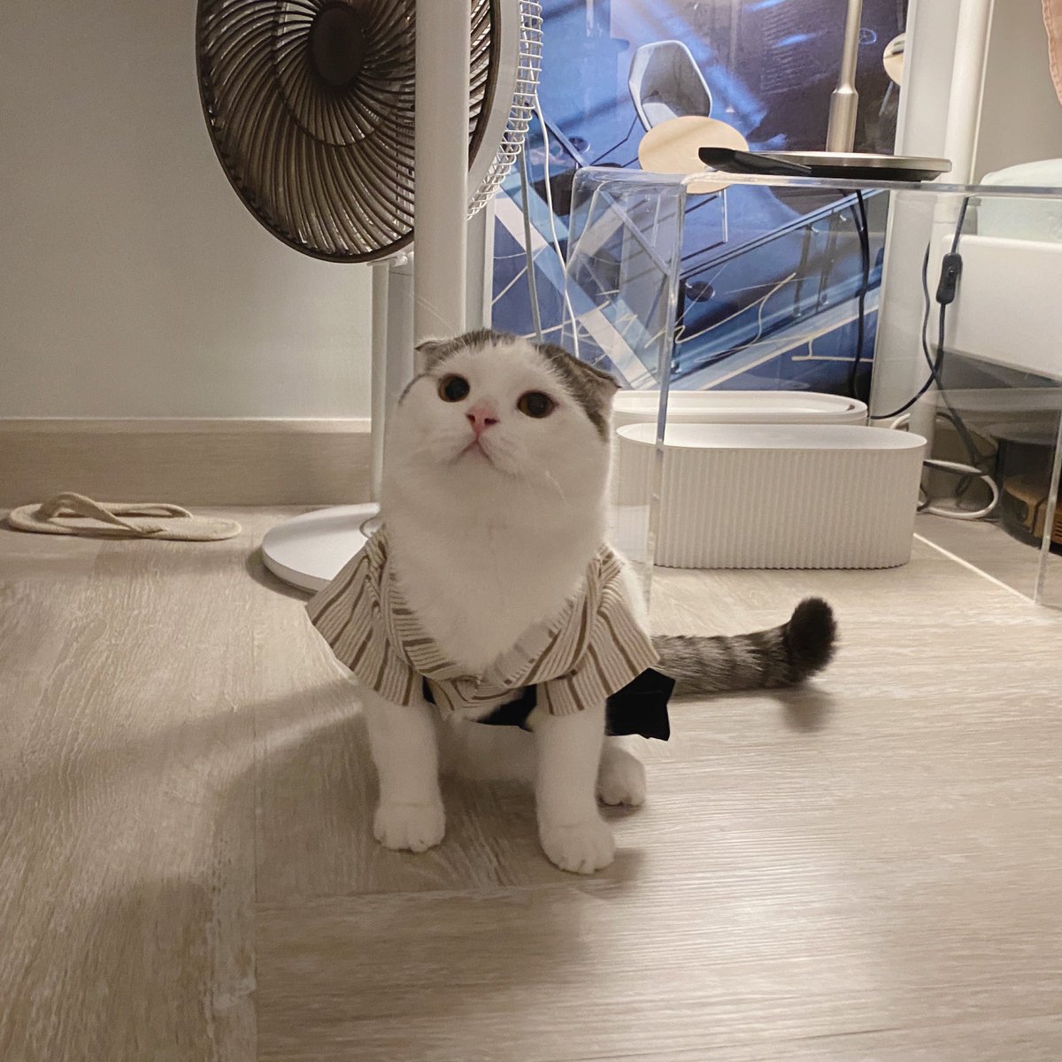 jiewliewnjiggo's tweet photo. มาในชุดยูตะกละ เอ้ย! ยูกาตะ เอ้ย! ถูกแร้วววว https://t.co/98M7v6K5rt