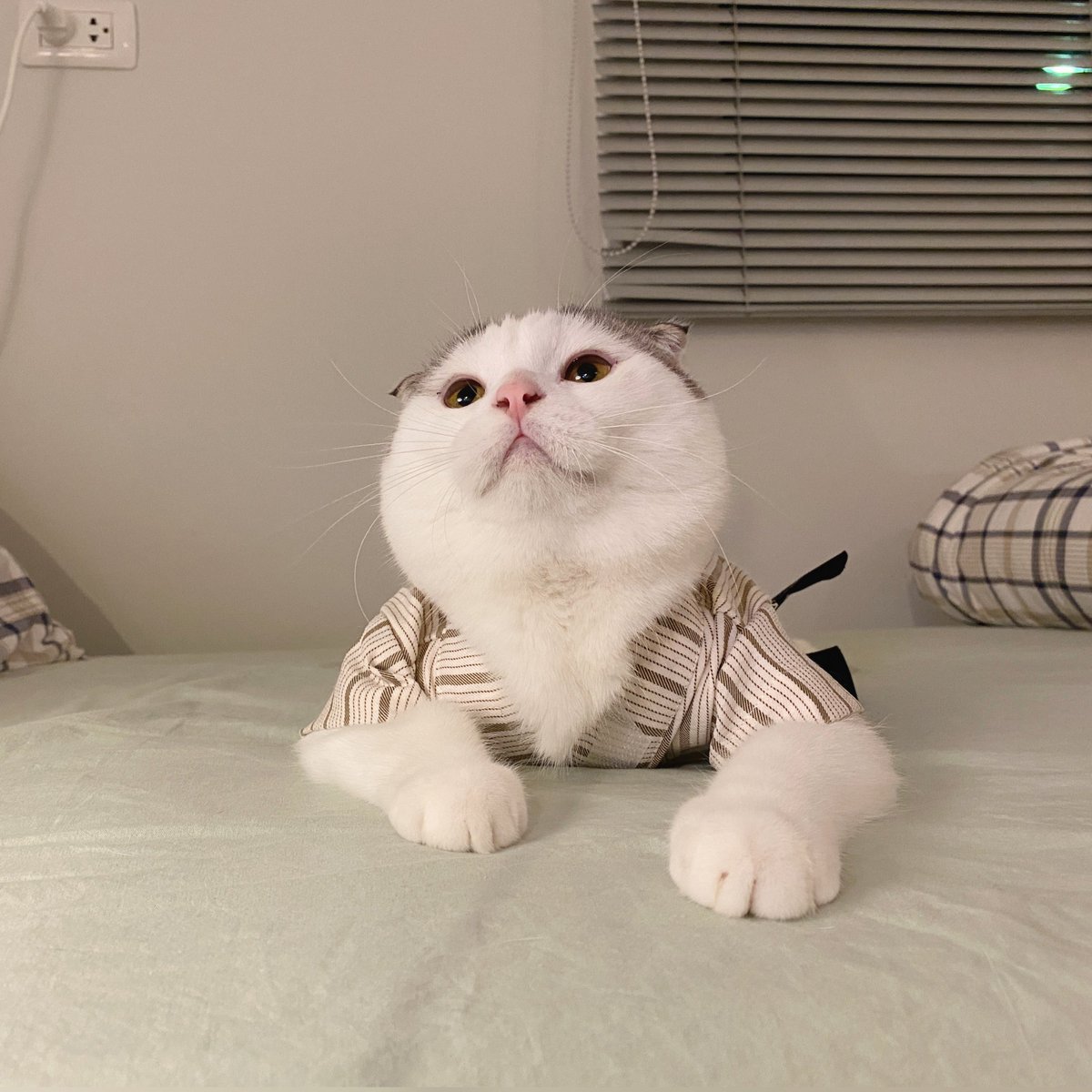 jiewliewnjiggo's tweet photo. มาในชุดยูตะกละ เอ้ย! ยูกาตะ เอ้ย! ถูกแร้วววว https://t.co/98M7v6K5rt