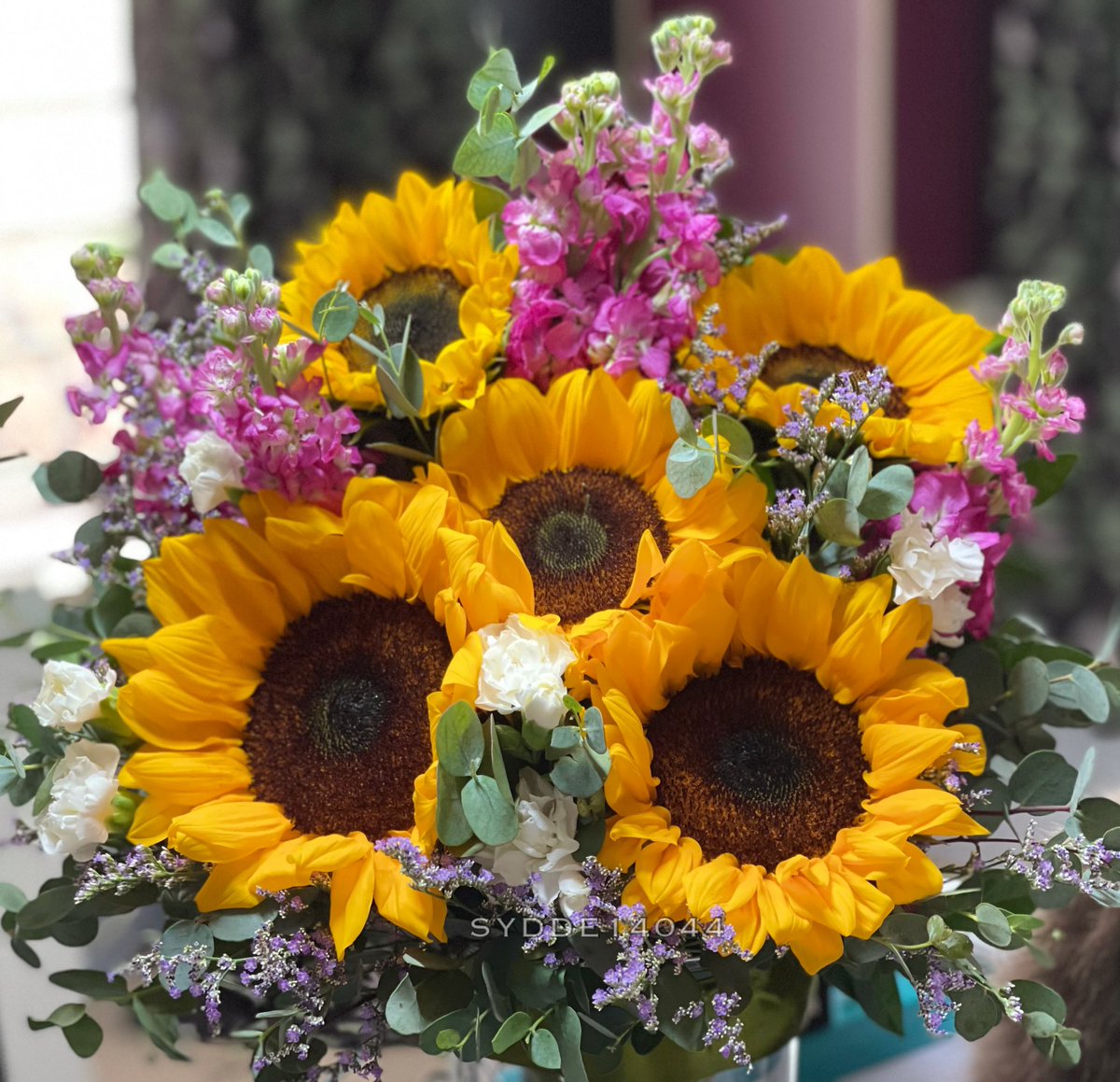 ceeceesid's tweet photo. Hello… sunshines ☺️🌻🌻🌻 #sunflower #Sunflowers #flower #flowerchimp #sydde14044 https://t.co/OGIZ0yeE0x