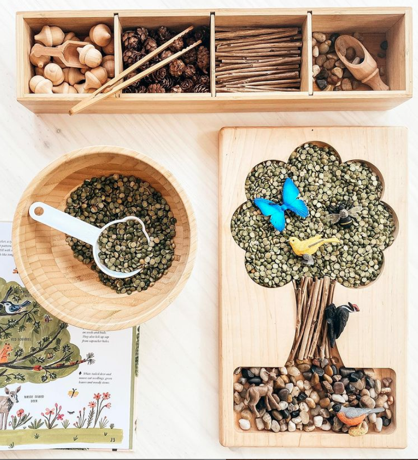 🌳Tree Habitat Sensory Play🌳
​
​We love seeing what lovely #invitationtoplay our fans create with our toys! @rainbowsandfireflies wooden sensory set up is giving us all the Friday feels! 🦋