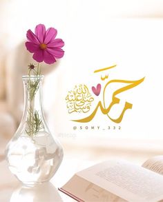 ℝ𝕒𝕛𝕡𝕦𝕥.🌹زیـنـــــــب🇵🇰 tweet media