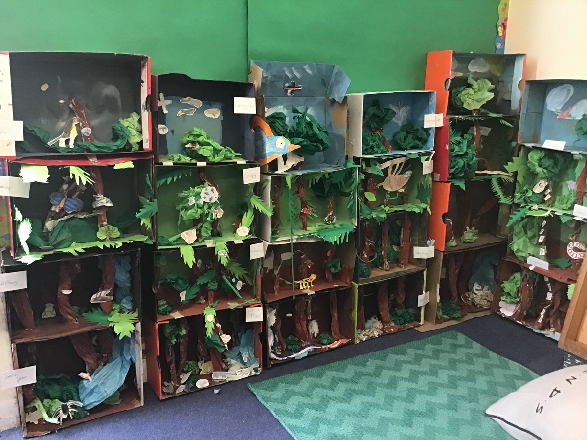 SchoolCrombie's tweet photo. #P6W completing their Rainforest models this afternoon. Using teamwork and cooperation ❤️#recycle #creativing #IDL #proud https://t.co/wqULkxjKAE