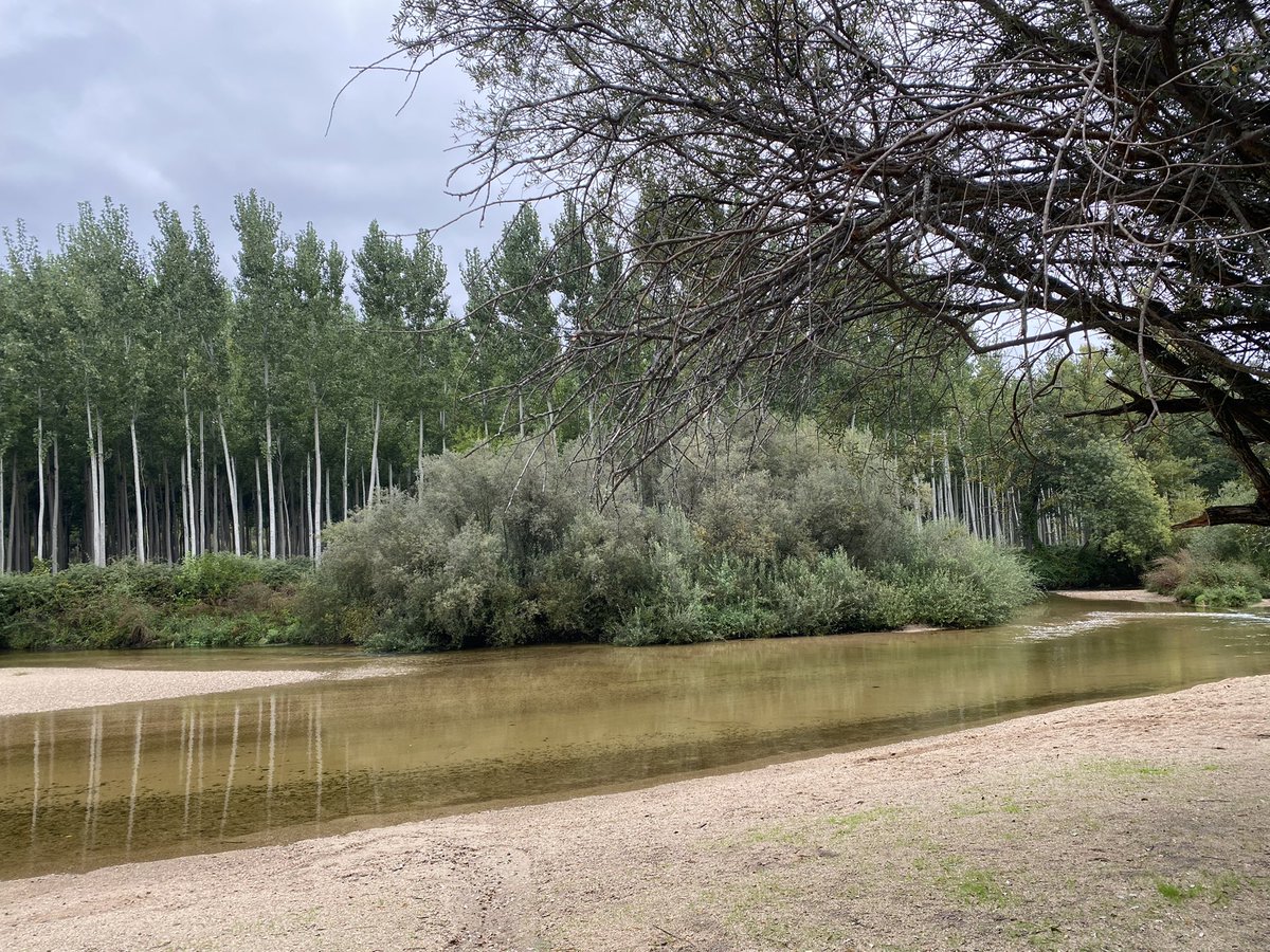 RebecaRenedo's tweet photo. Gran dia de voluntariado gracias a @fundacionTef. Hemos limpiado 2km del rio Alberche. ¡Hemos sacado bolsas y bolsas de basura!. Ojala tomemos más conciencia de lo importante que es cuidar nuestro planeta. @VolunTelefonica @Telefonica https://t.co/WT1VfCnlWb
