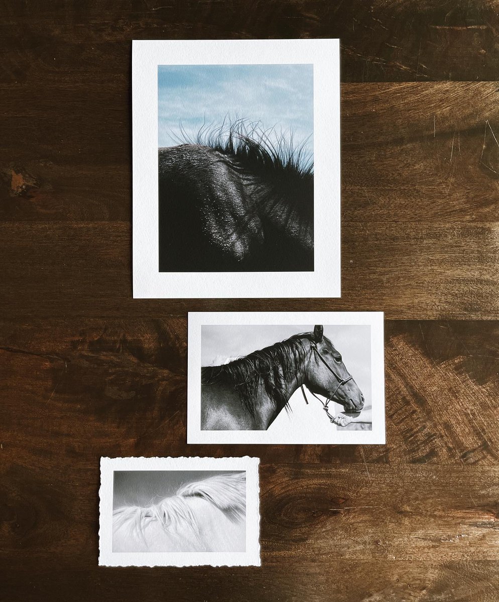 RichardPhotoLab's tweet photo. "New print experiments... I love this deckled edge option and the post card size... AND, the blacks are so rich on this fine art paper." – Jacquelyn Tierney
It's the last day for 15% off fine art prints » https://t.co/A9V4NLZhZa
#richardphotolab #printyourwork #printsnotpixels https://t.co/u4k8v3cIxZ