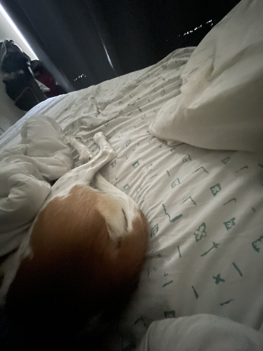 VicEu's tweet photo. Como le explico a este culo de nube que tiene más cama para el otro lado??? https://t.co/VwRDdAx9oZ