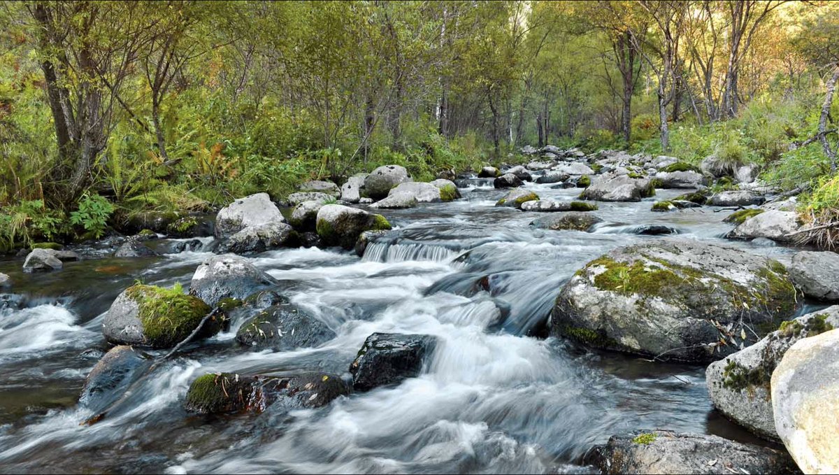 EnvAm's tweet photo. Thank you, @RepPeterDeFazio, @RepGraceNapolitano and @RepDonBeyer for standing up to #protectclean water https://t.co/qaPNkhPDwV https://t.co/tf4XsQjKYr