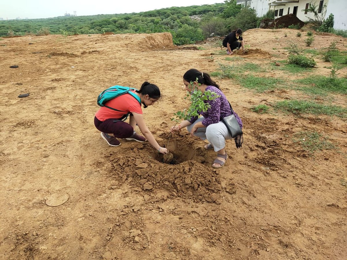 AravalliBachao's tweet photo. CITIZENS ASK 7 to #SaveOurAravallis 

Haryana has lowest forest cover in India (3.6%). Make a roadmap to reach 20% legal native forest cover by 2024 according to Haryana forest dept policy target.

@HaryanaTweets @Dchautala @IASassociation @Chiranjeev_INC #GlobalClimateStrike https://t.co/0NqbURdo6T