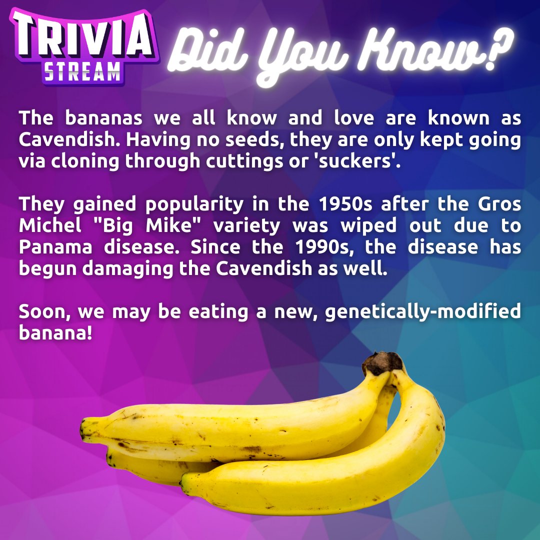 Trivia_Stream's tweet photo. This week's fun fact is definitely bananas! 

*We also have 'b-a-n-a-n-a-s' from Gwen Stefani's Hollaback Girl stuck in our heads now* https://t.co/25VFRaYDvK