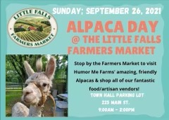 Little Falls Public Library tweet media