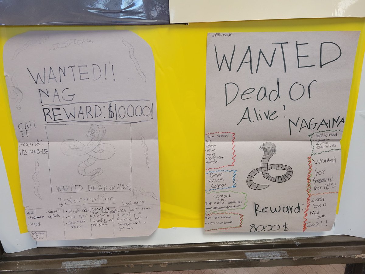 MrsCKopka's tweet photo. Rikki-tikki-tavi Wanted Posters
My students are amazing artists!
Go #seventhgraders
@HuffordD86 @studysync https://t.co/qoefwx0UuS