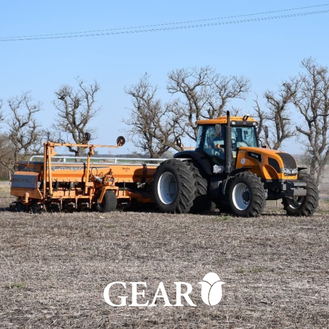 JorgeNewberyRjs's tweet photo. #SponsorsRojinegros

#GearSA te muestra una siembra de SYN 897 Viptera 3, para celebrar este magnífico comienzo de primavera 🚜

#VamosRojinegro #NuestrosSponsors #Sponsors https://t.co/oOznEwI6WQ