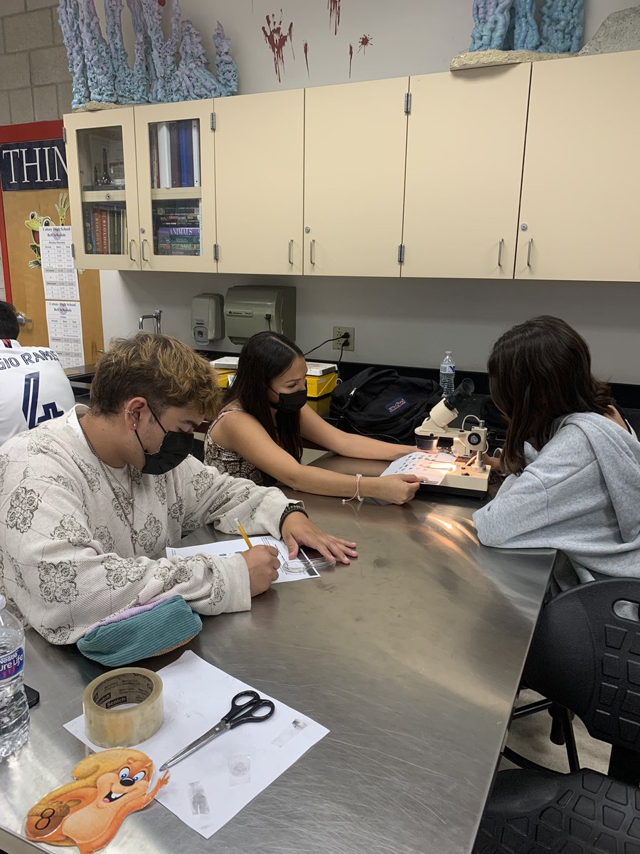 C6H12O6Addict's tweet photo. Working hard to make fingerprint matches! #forensicsciencelabs https://t.co/jO9fvZzOgx