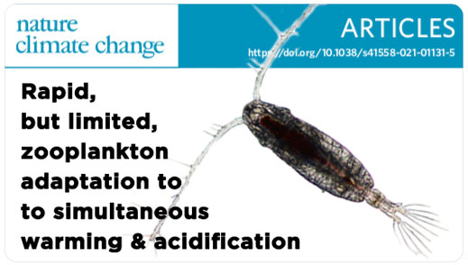 Dam's Planktonomics Lab tweet media