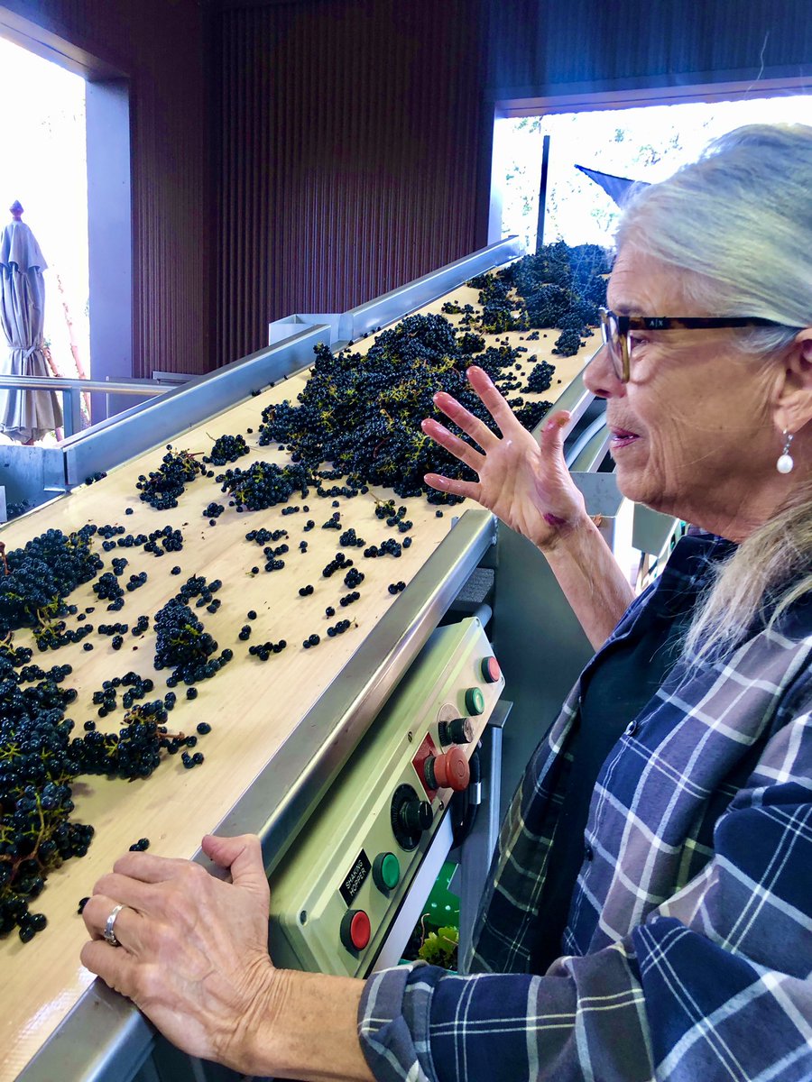 MeteorVineyard's tweet photo. Meteor Vineyard’s first day of #Harvest2021 is in the tank! From pick through sorting this #vintage2021 is already spectacular! #Winemaker #DawnineDyer was so pleased to show off these luscious berries and our empty bins! More to come. Cheers ♥️☄️🍷 https://t.co/cLnRnDSKgc