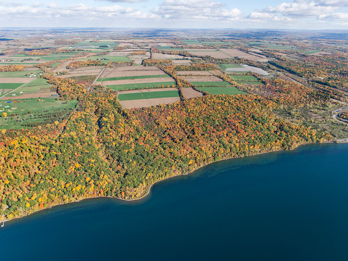 NEWS: <a href="/GovKathyHochul/">Governor Kathy Hochul</a> brokers agreement to protect the pristine 470 acre Bell Station Landing parcel on Cayuga Lake. Auction called off! <a href="/NYSDEC/">New York State Dept. of Environmental Conservation</a> <a href="/NYSDPS/">NY Public Service</a> and <a href="/NYstateparks/">NY State Parks</a> to work with <a href="/NYSEandG/">NYSEG</a> and <a href="/FLLandTrust/">FingerLakesLandTrust</a> to get it done. governor.ny.gov/news/during-cl…