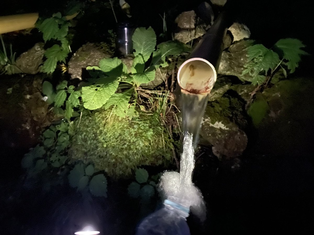 松原タニシ 寿命のびた