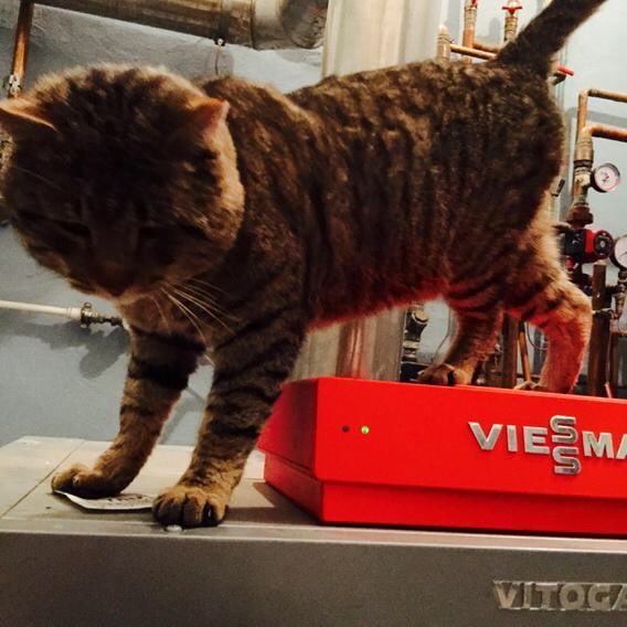 Jacek Rzepa tweet media