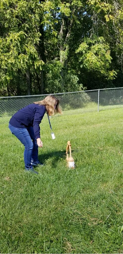 Jen Graves tweet media