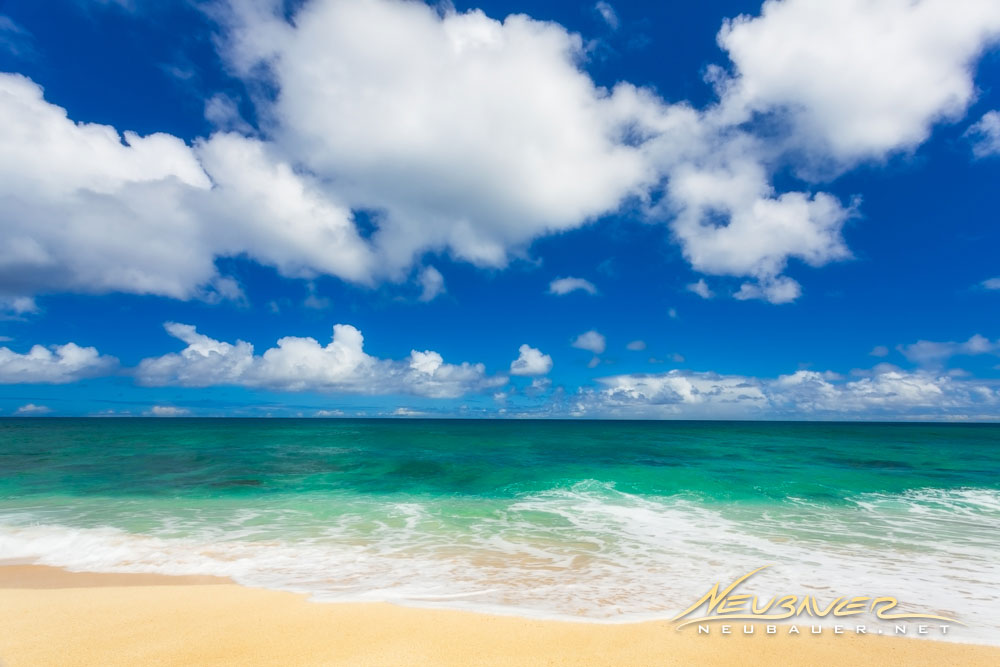 Mike Neubauer tweet media