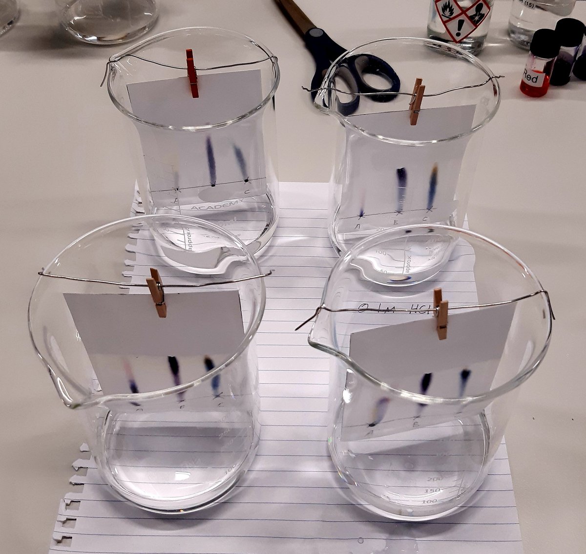 james_sayer1's tweet image. After 13 months of long hours and late nights, I&apos;ve finally submitted my final piece of MSc work. Excited to embark on the next chapter. Thanks to all my friends, family and colleagues for their support. 🥼🥽🔬 #ForensicScience #ForensicAnthropology #ForensicEntomology