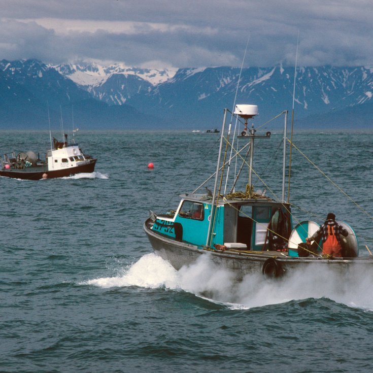 Alaska DFG-Southeast tweet media