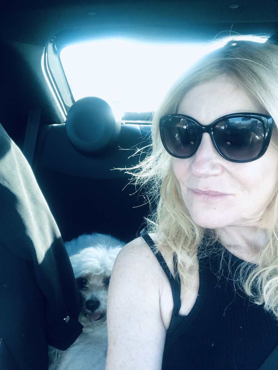 Michelle Collins tweet media