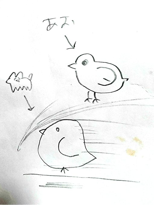 ひよこ 