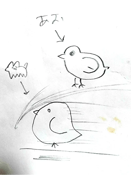 ひよこ 