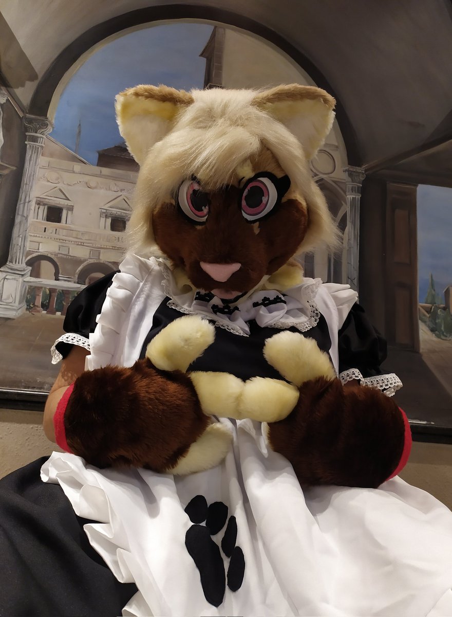 Succubus_Diva's tweet photo. Thank you all for the 600 followers ππ
Would you like me to upload yesterday's video but without the fati censorship? π€ππ
#furry #anthro #anthrofurry #furryfandom #fursuit #furhead #fursuiter #maid #dressmaid #fursona #cute #sexy #thicc #chubby #softsuiter #softsuit https://t.co/9ukNFRA6QN
