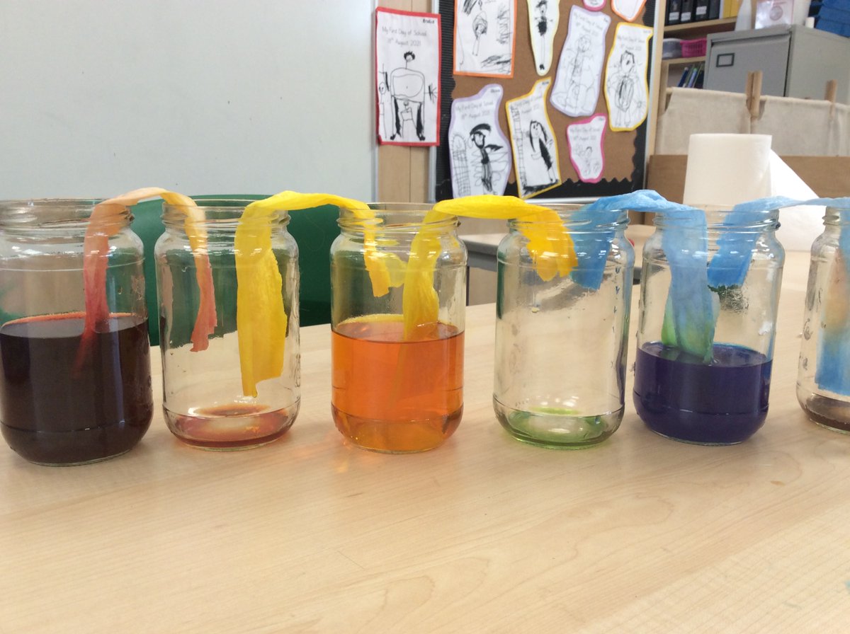 P1a have chosen to do experiments for Wider Curriculum this term. So far, we have mixed colours in test tubes, made predictions and showcased our understanding of colour theory! 🧪👩‍🔬👍 <a href="/NewtongrangePS/">NewtongrangePS</a> <a href="/MrsLMitchell22/">Lynsay Mitchell</a>