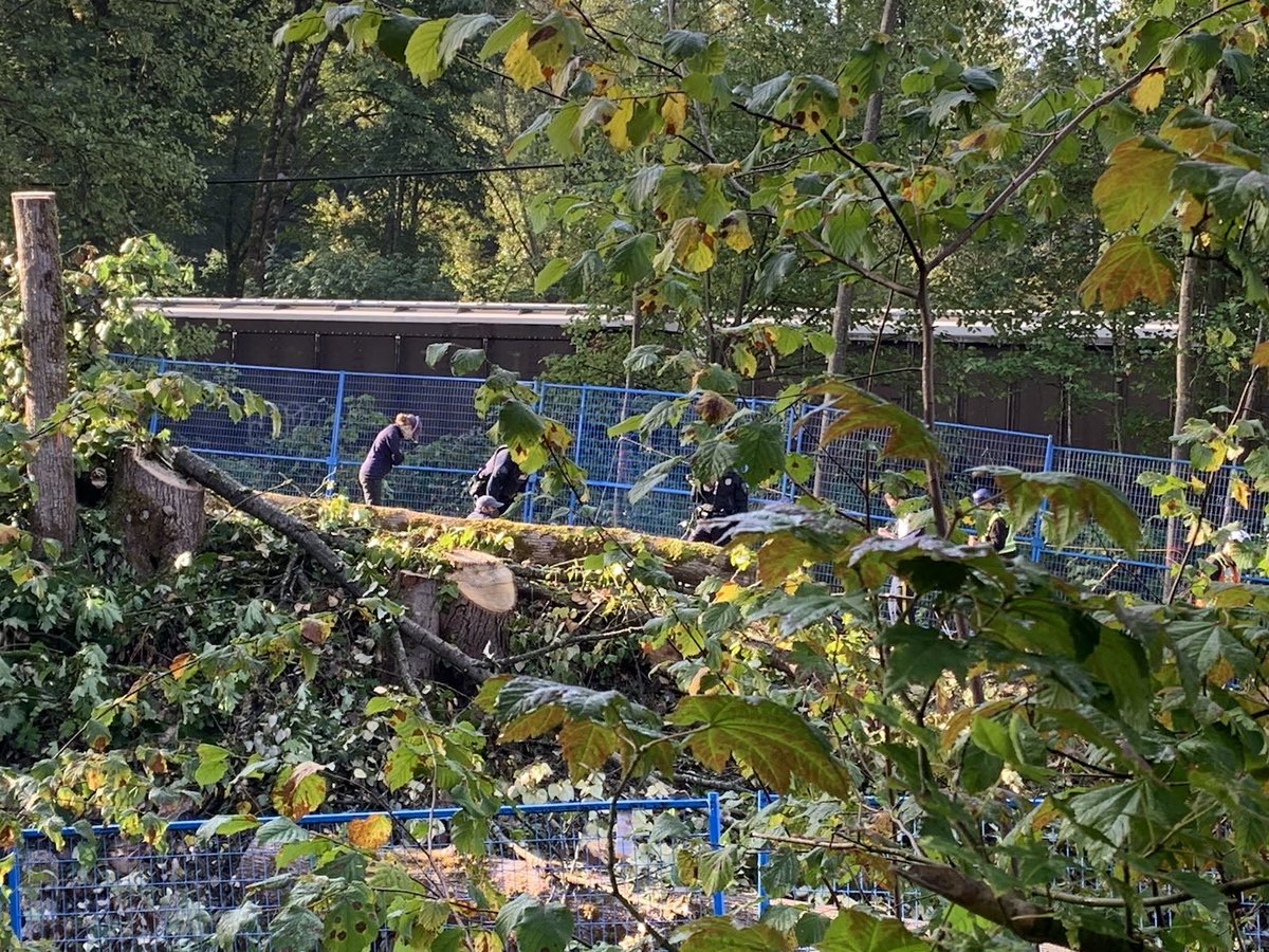 VGreenfaith's tweet photo. Protectors are being arrested now. Stand strong! @greenfaithworld @FaithCommonGood @PPSTMX1 @climate604 @CoastProtectors @MtnProtectors @XRVancouverBC @sustainteens @fff_vancouver  #ClimateAction #StopTMX #Faiths4Climate https://t.co/88fQmFA9bf