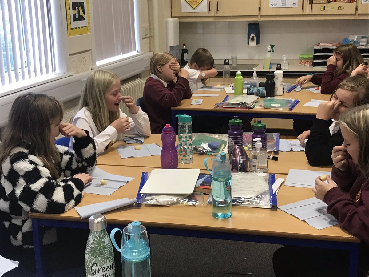 missmcindoe's tweet photo. We then tried to establish if our sense of smell affects our ability to taste. The results were mixed- some people could tell what the mystery objects were and others couldn’t 🍎🥔😆 https://t.co/SLnBcZV5FD