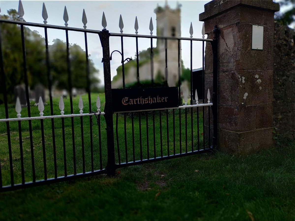 Propeller Palms tweet media