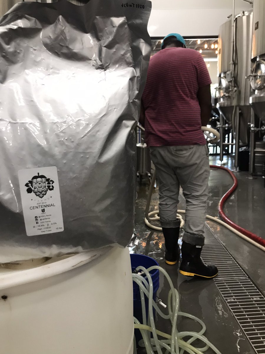 Howdy Y’all, we’re only usin’ 100% Ontario hops from our pals <a href="/VQH_Farms/">VQH Farms</a> for our collabo with <a href="/MERIT_Spinney/">Aaron Spinney</a> <a href="/MERITBrewing/">MERIT Brewing Co.</a> Stay tuned fir more details!!!