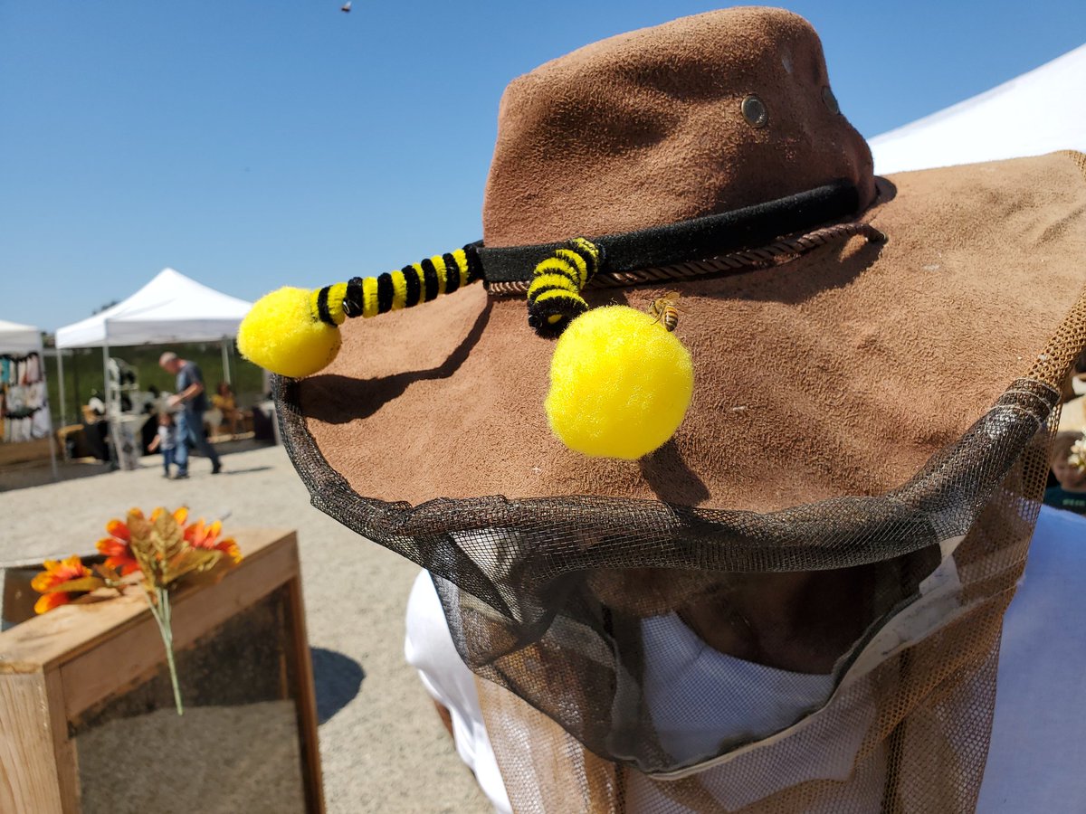 EncinitasBee's tweet photo. @ucsdbiosciences @TheVillaLab @HHMINEWS Yay https://t.co/RK4mwRFE9P