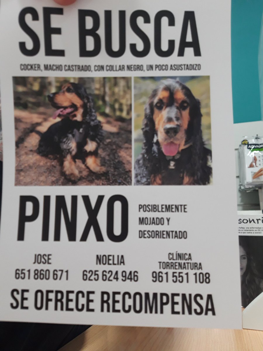 guimera_a's tweet photo. Porfavor, sé que soy un pesado con estas cosas pero si encima ocurren por Torrent...que menos que ayudar...compartirlo porfavor, muchísimas gracias de corazón de verdad 💜 https://t.co/6d46eo8AJw