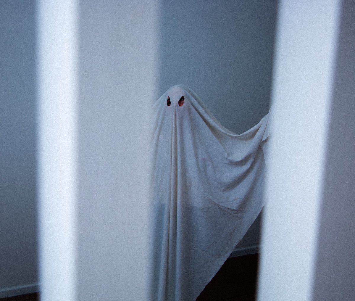 lulllu_u's tweet image. il était temps de faire une petite mise à jour 🍁