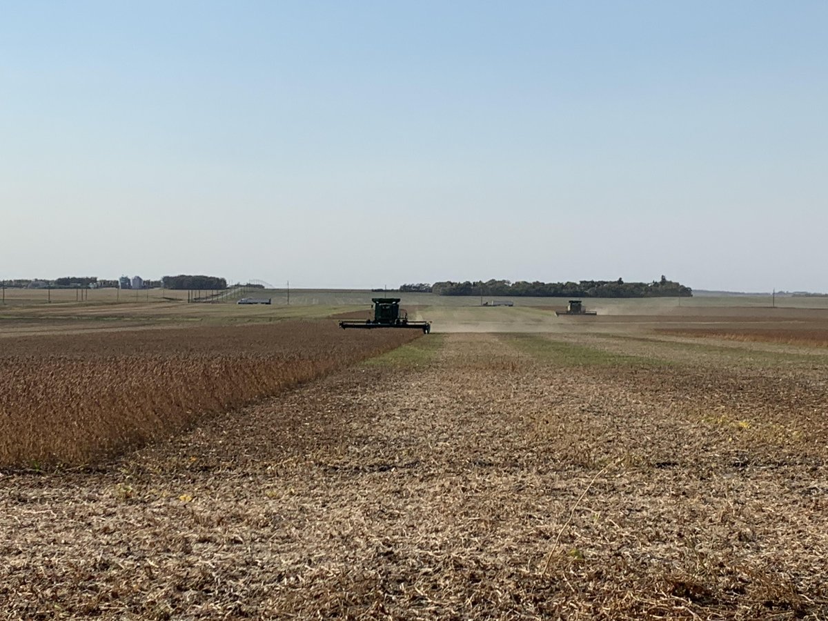 It's Soybean harvest time in Manitoba!

Thanks to <a href="/Pat_Comte/">Patrick Comte</a> for the photo of <a href="/RoncerayDan/">Dan Ronceray</a> taking off his #Soileos trial. We can't wait to get the #data off that monitor!

#Harvest21 #agtech #innovation #circulareconomy