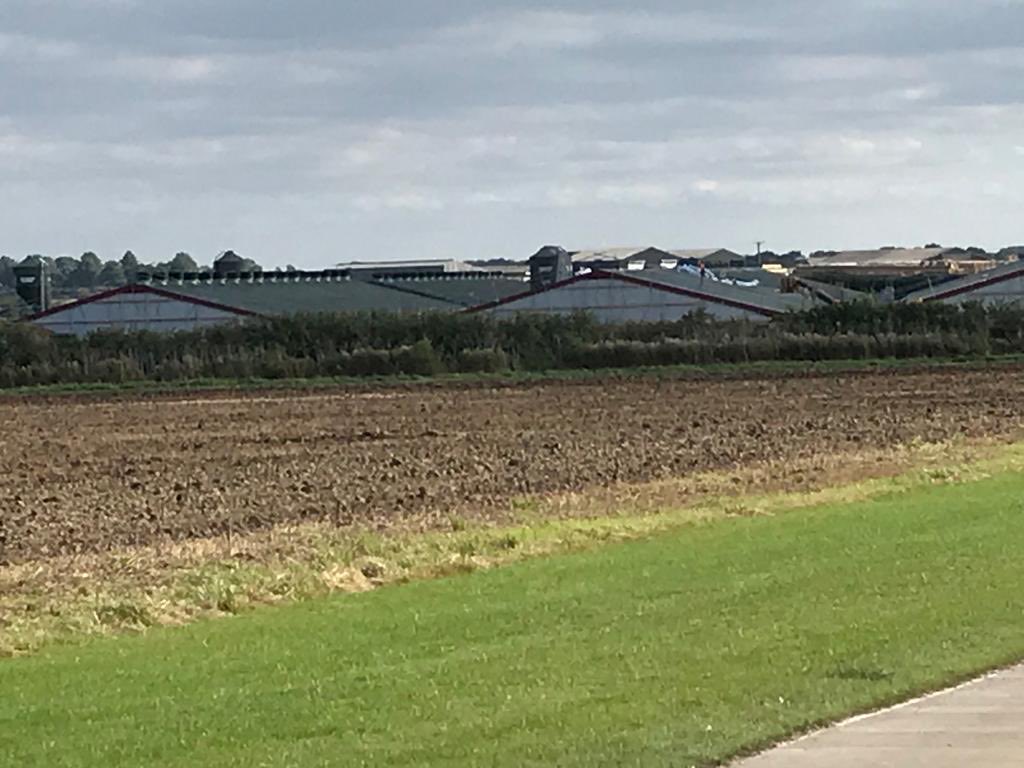 Donald Gillespie tweet media