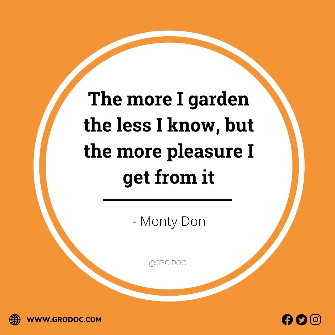 Gro_Doc's tweet photo. We agree with Monty! 💚⁣ @TheMontyDon ⁣
⁣⁣⁣⁣⁣
#vegetablegarden #gardening #growyourown #garden #growyourownfood #homegrown #growyourveggies #ediblegarden #urbangarden #organicgardening #veggiegarden #organicgarden #gardener #growwhatyoueat #plants https://t.co/nh10QZUGvD