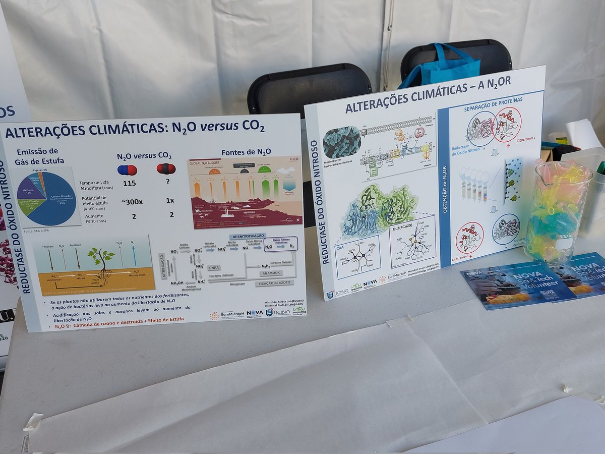 pauletasofia's tweet photo. Come and join us today at the European night of the researchers!! 
About climate change and pH ! @UCIBIO_Research @FCTNOVA https://t.co/9U5L9HjV0C