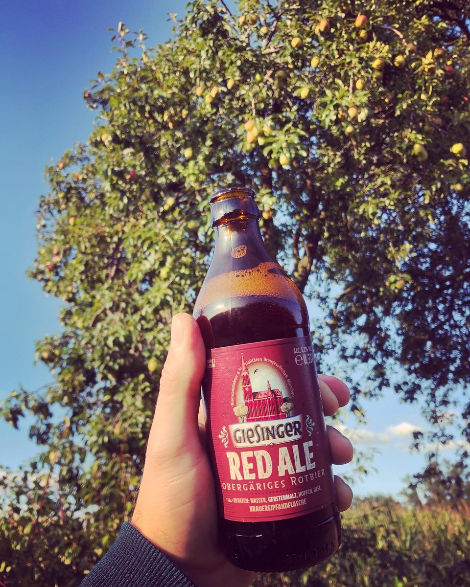 gummibierchen's tweet photo. #Birnenpflücken mit dem #RedAle von @GiesingerBraeu aus #München und dieses #RotBier hat es in sich🍺 #giesinger #giesingerbräu #germanbeer #deutschesBier #bavarianbeer #beerinmyhand #bierinderhand #bierfreuden #bierfans #redbeer #birnenpflücker #birnenfreund #pears #pearpicking https://t.co/iJt0ih8ce4