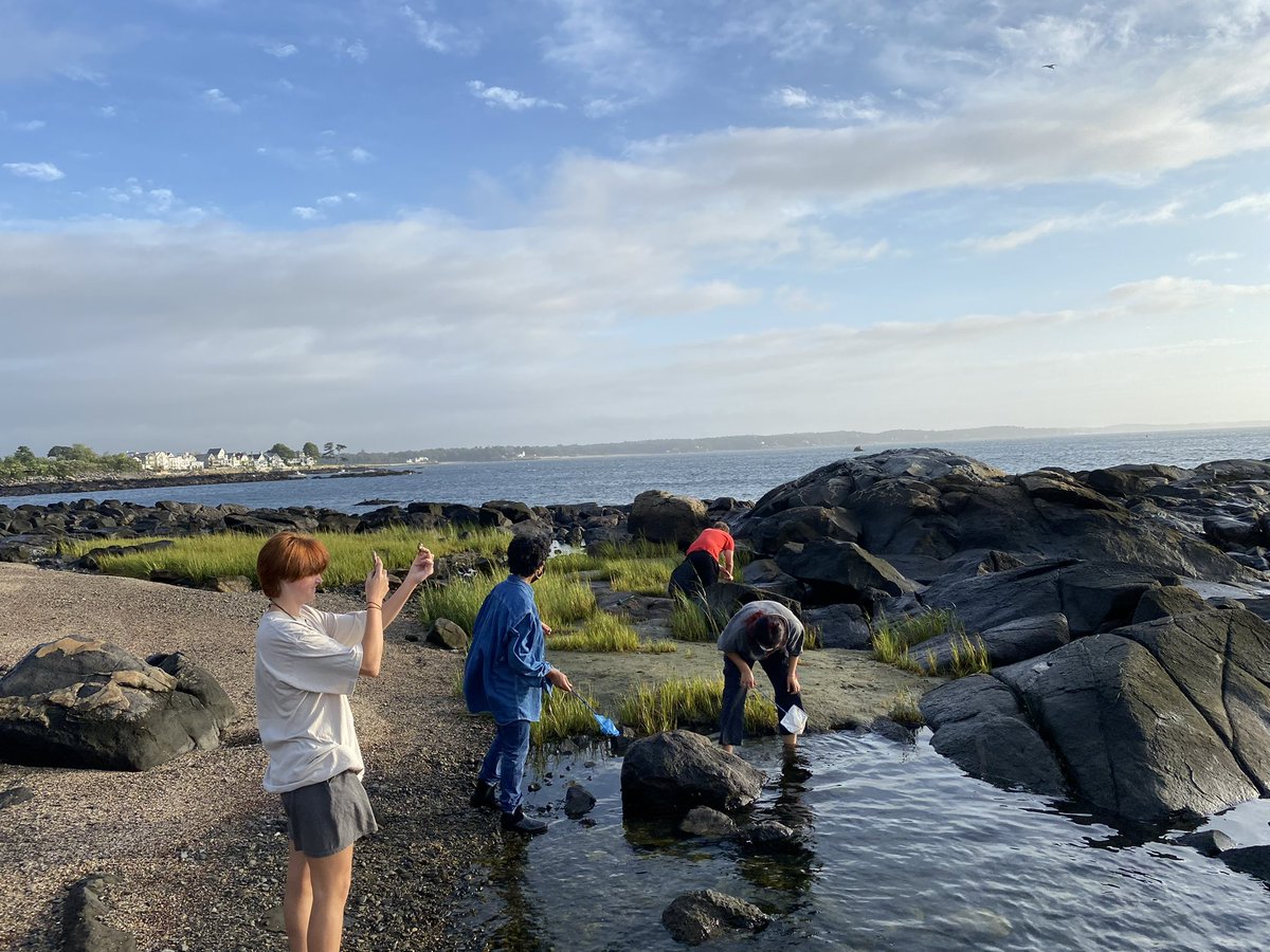 Happy Friday from Salem High School #gowitch Scholars collecting samples at Winter Island in their Norman H Read Science Research Internship Course. #excellenceondisplay #wearesalem
