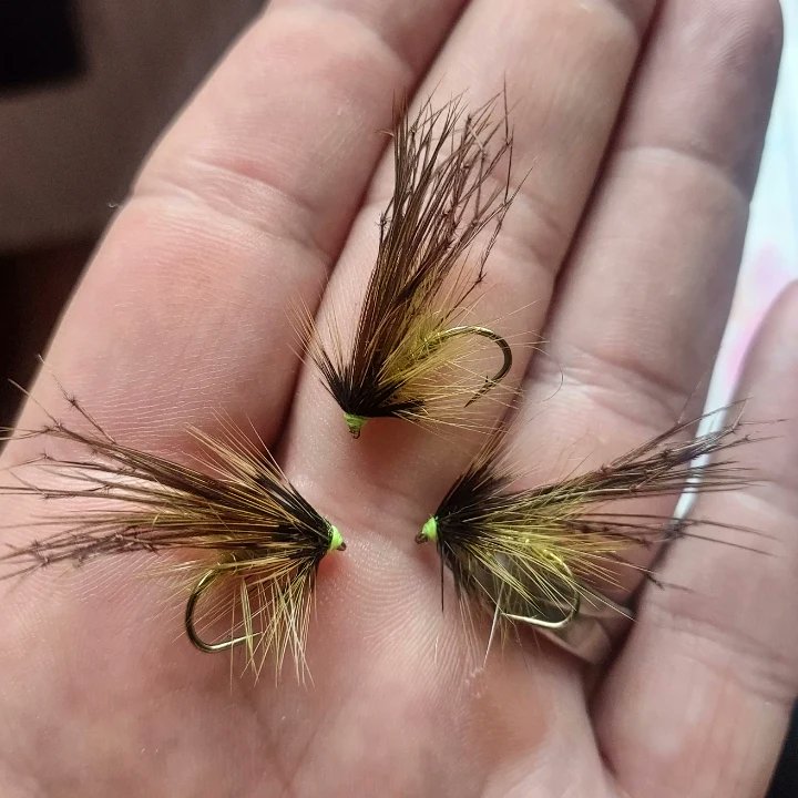 mccoy007_coy's tweet image. Leggy #greenpeter #sonaghan #cpr #wildatlanticsalmon #loughcorrib  #wildbrowntrout #loughmask☘🎣 #loughsheelin #loughfurnace 🎣🐋