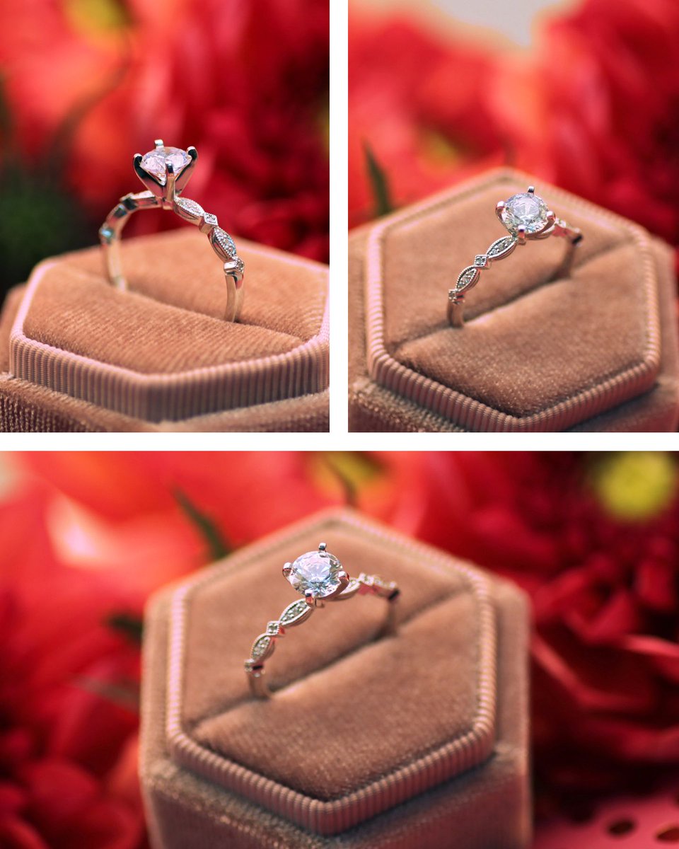CoastDiamond's tweet photo. Beautiful from every angle. #showyourcoast
Style No. LC7079H
-
-
-
-
-
-
#diamondsetting #lovestory #gettingmarried #ringinspo https://t.co/TGayfjXwKo