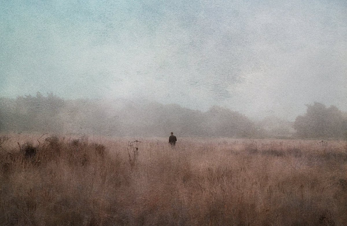 a photo that felt like a painting...